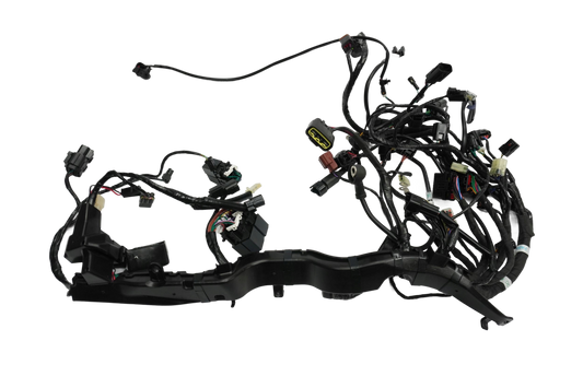 TRIUMPH STREET TRIPLE 660 S 17- Kabelbaum Wiring Harness 1