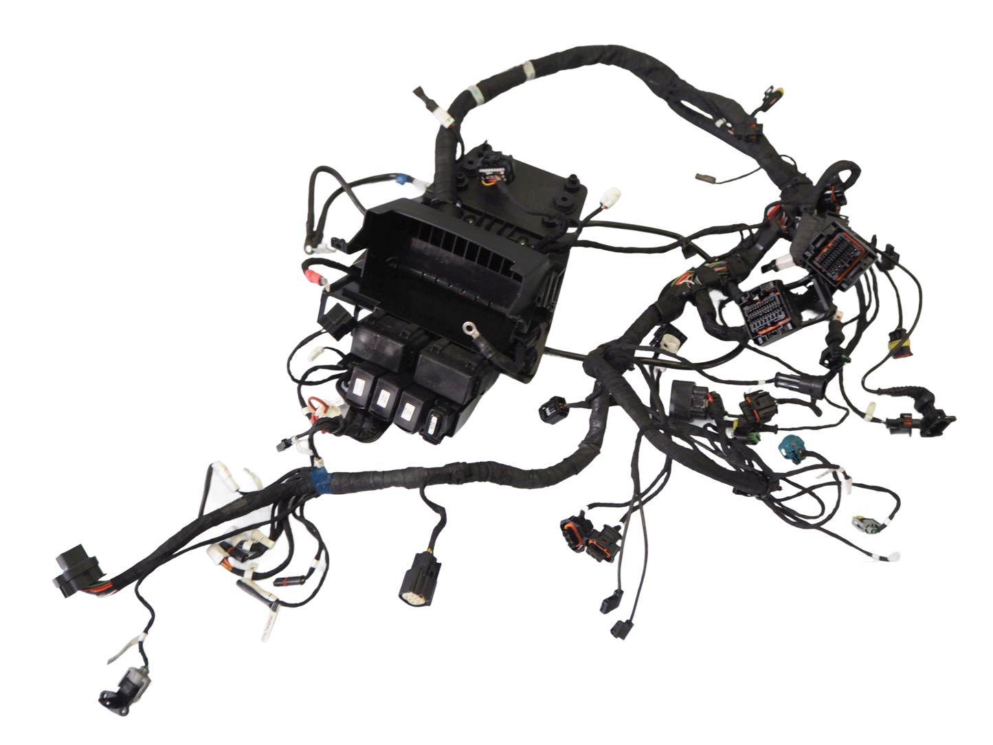 DUCATI MONSTER 937 21- Kabelbaum Wiring Harness 1