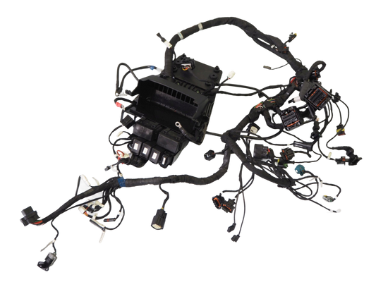 DUCATI MONSTER 937 21- Kabelbaum Wiring Harness 1