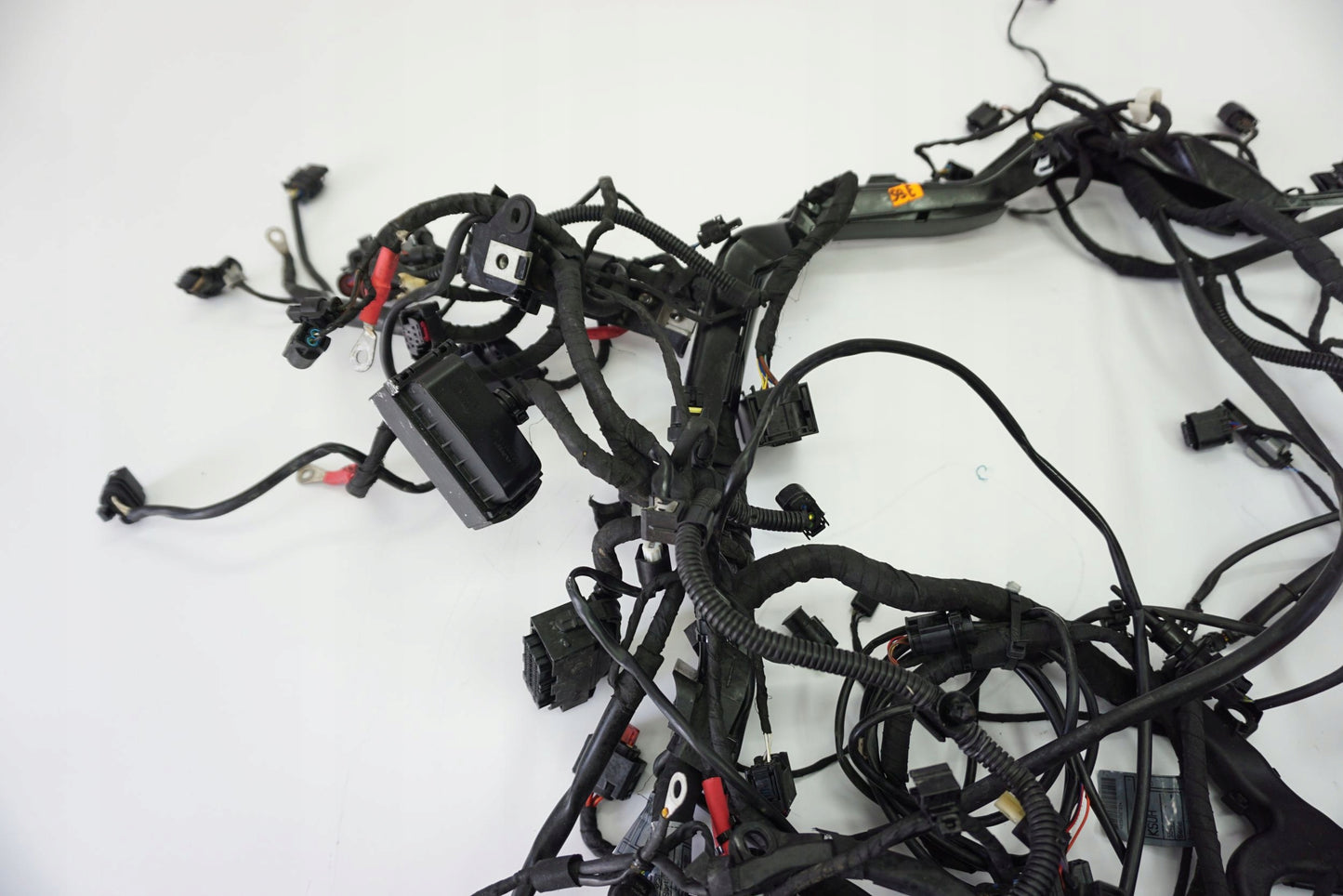 BMW R 1250 GS ADVENTURE HP 19- Kabelbaum Wiring Harness 10