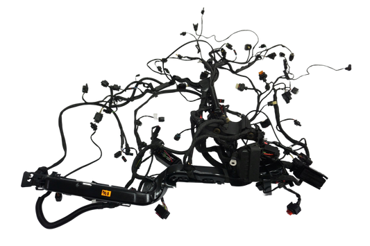 BMW R 1250 R 18- Kabelbaum Wiring Harness 1