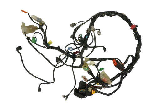 HONDA CBF 1000 SC58 06-09 Kabelbaum Wiring Harness 1