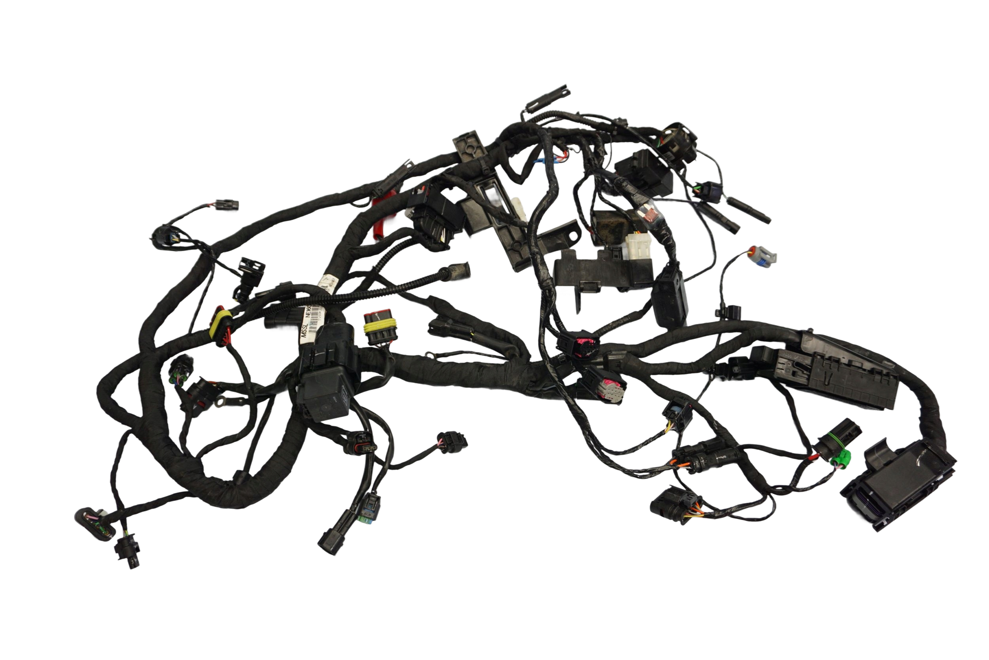 BMW G 310 GS 17- Kabelbaum Wiring Harness 1