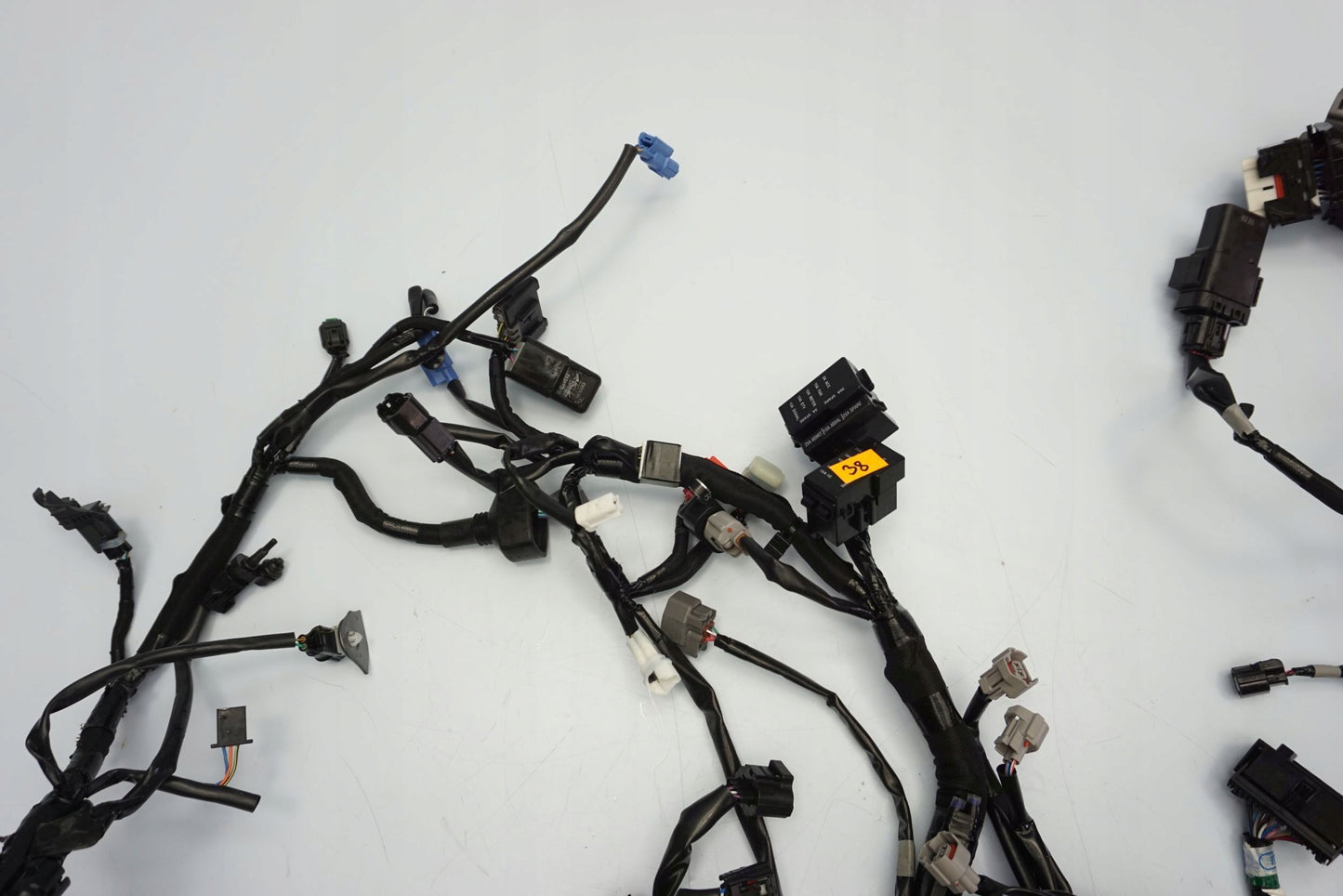 KAWASAKI NINJA 1000 SX 20- Kabelbaum Wiring Harness 3