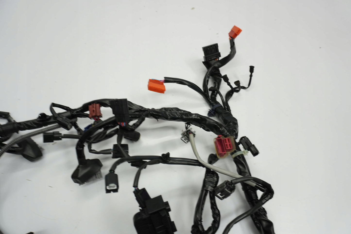 TRIUMPH STREET TRIPLE 765 17-19 Kabelbaum Wiring Harness 15