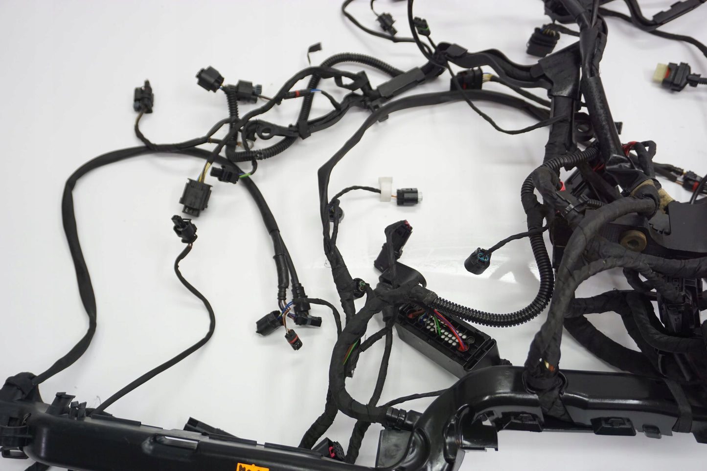 BMW R 1250 R 18- Kabelbaum Wiring Harness 2