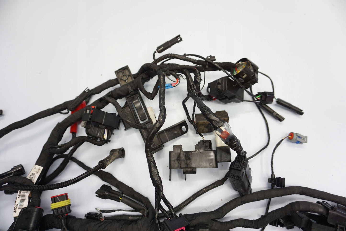 BMW G 310 GS 17- Kabelbaum Wiring Harness 7