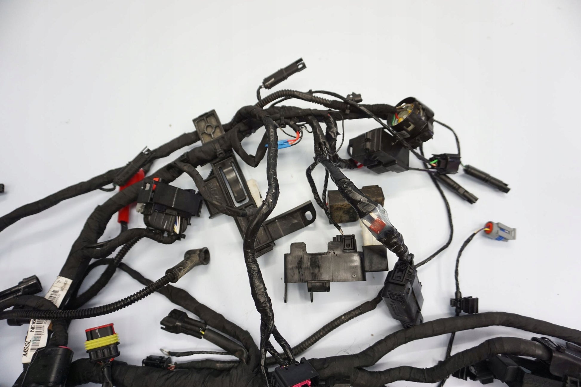 BMW G 310 GS 17- Kabelbaum Wiring Harness 7