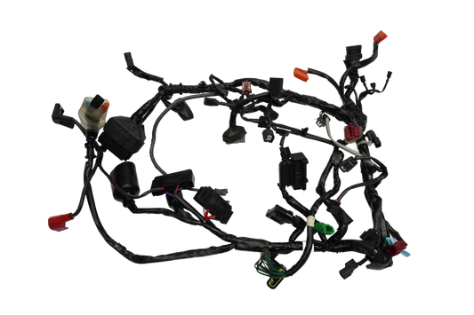 TRIUMPH STREET TRIPLE 765 17-19 Kabelbaum Wiring Harness 1