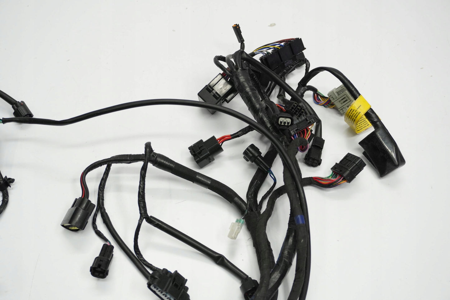 TRIUMPH TRIDENT 660 21- Kabelbaum Wiring Harness 10