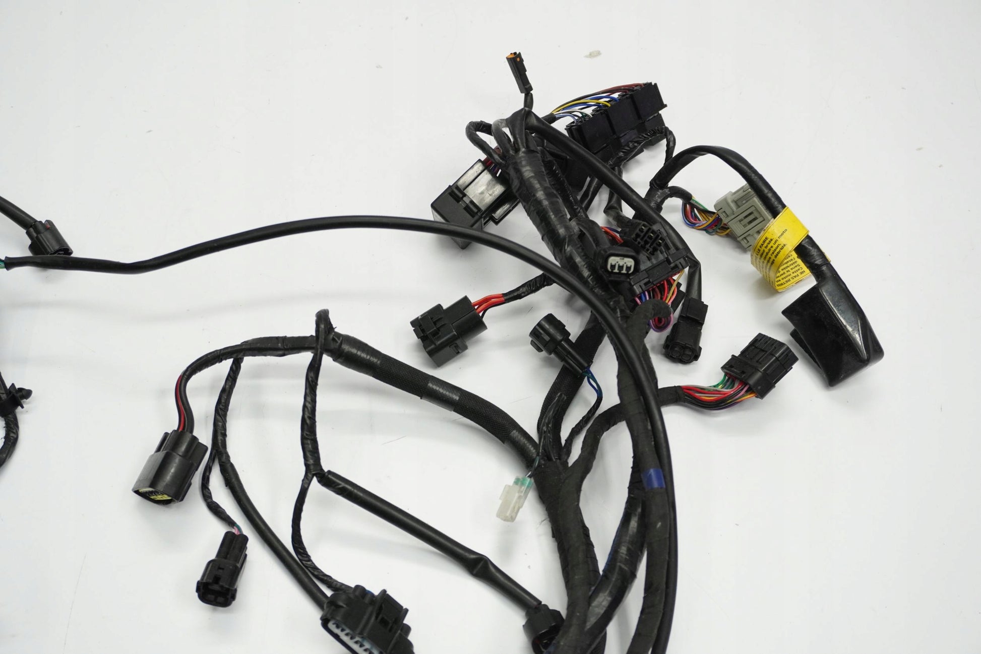 TRIUMPH TRIDENT 660 21- Kabelbaum Wiring Harness 10