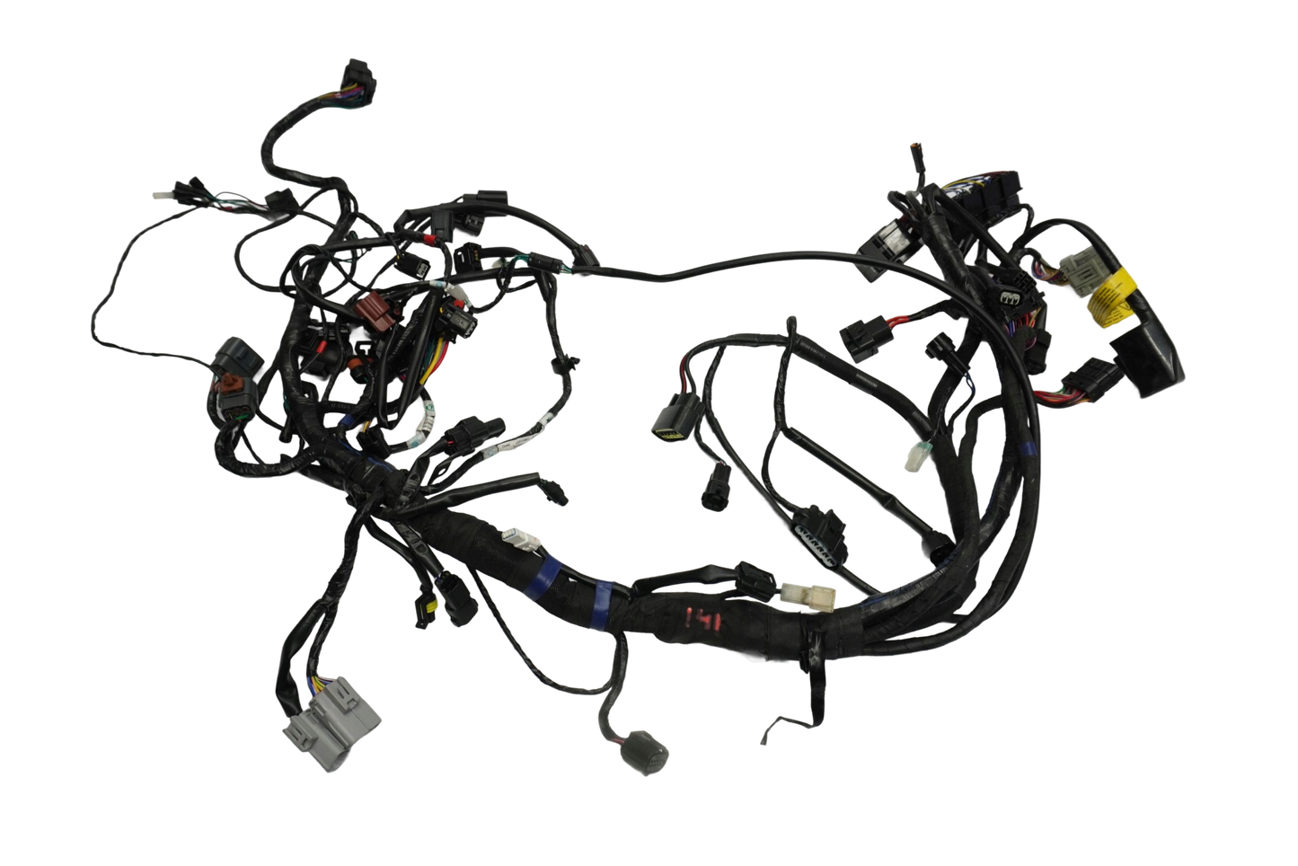 TRIUMPH TRIDENT 660 21- Kabelbaum Wiring Harness 1