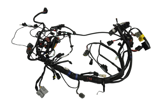 TRIUMPH TRIDENT 660 21- Kabelbaum Wiring Harness 1