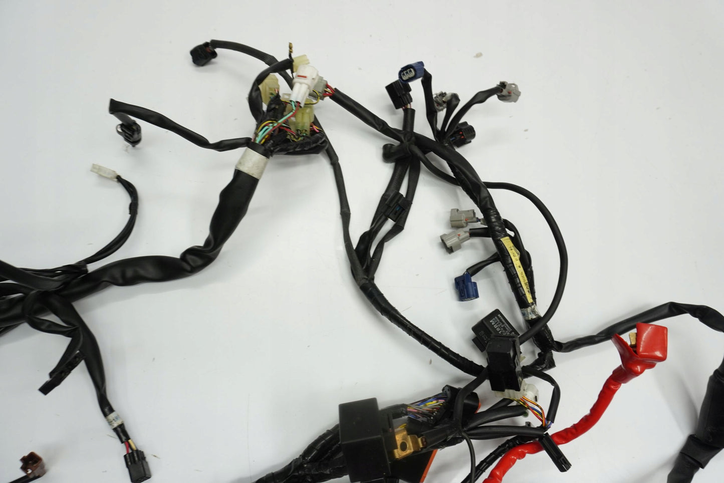 YAMAHA XJR 1300 RP19 RACER 15-16 Kabelbaum Wiring Harness 10