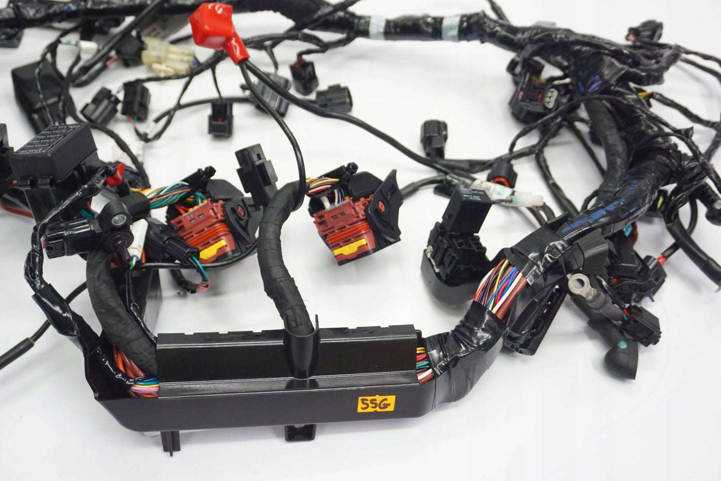 TRIUMPH TIGER 1200 XRT 18- Kabelbaum Wiring Harness 6