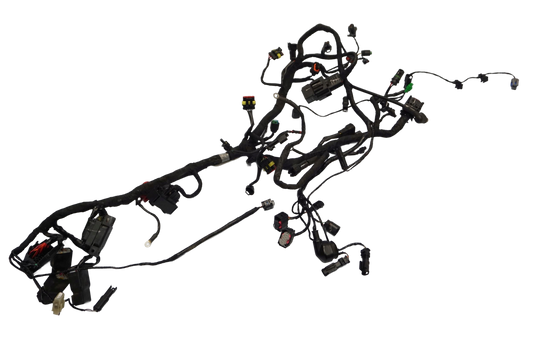 BMW G 310 GS 17- Kabelbaum Wiring Harness 1