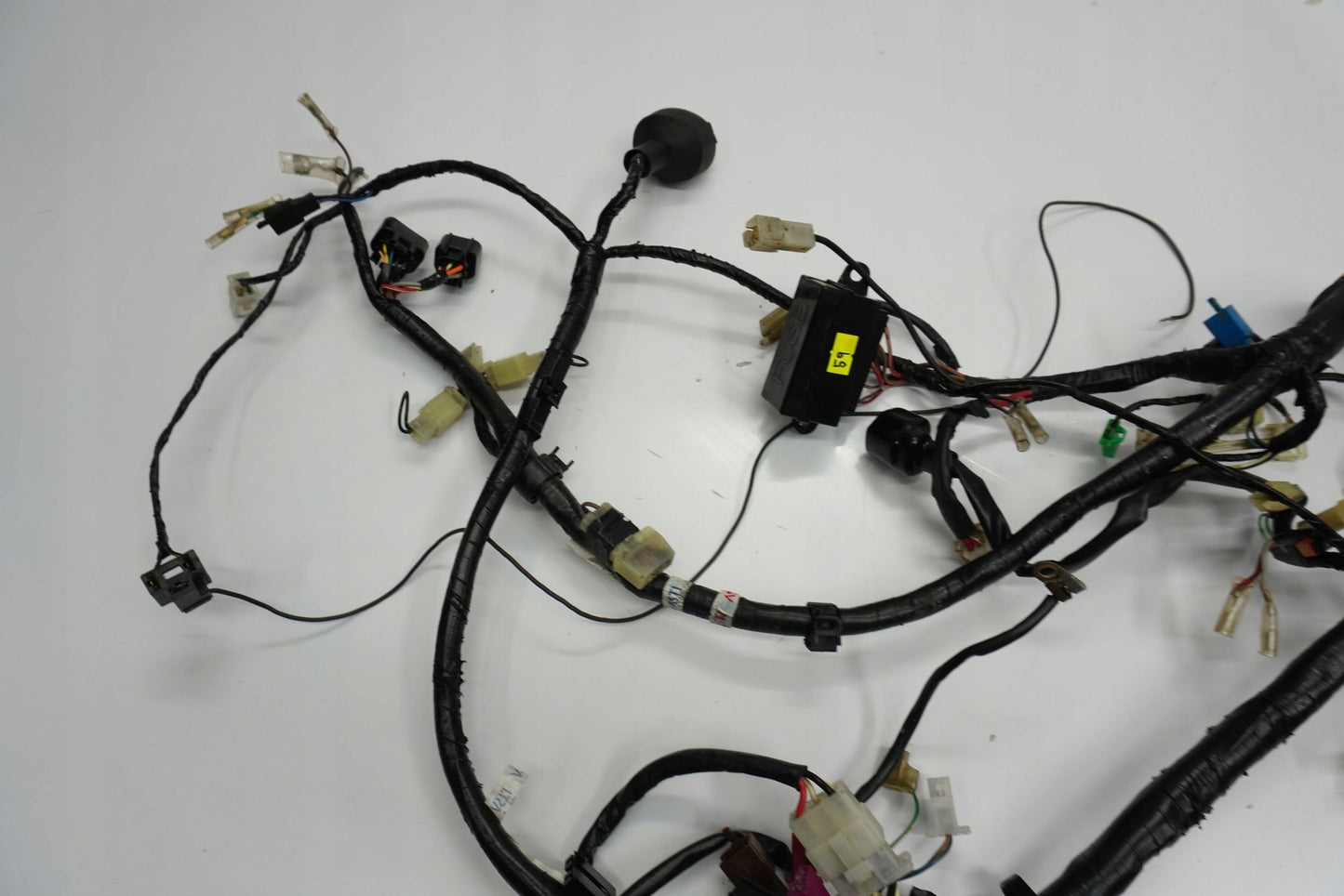 YAMAHA FZS FAZER 600 00-01 Kabelbaum Wiring Harness 3