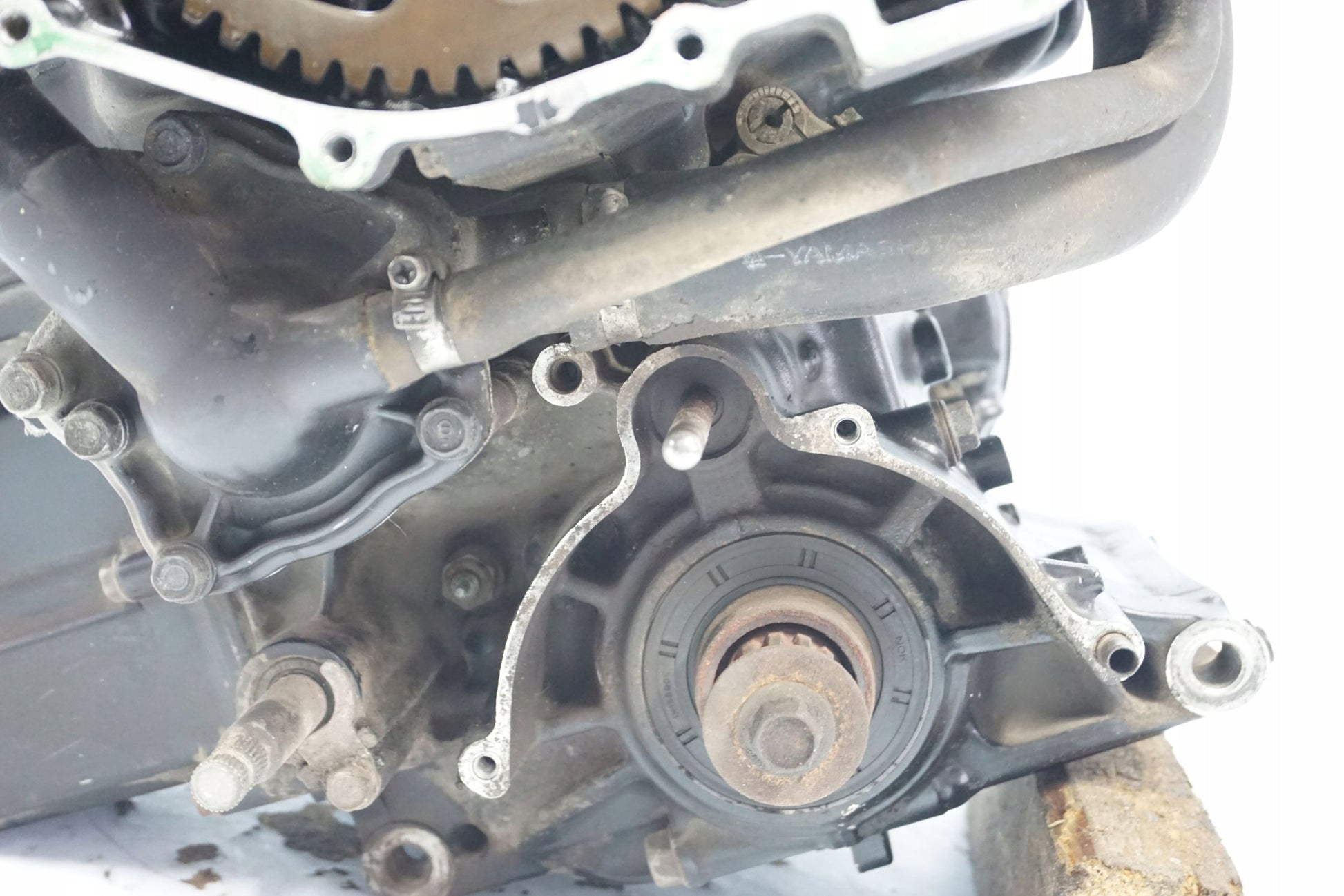 HONDA CBR 1100 XX 96-06 Motor Motorblock Engine 7