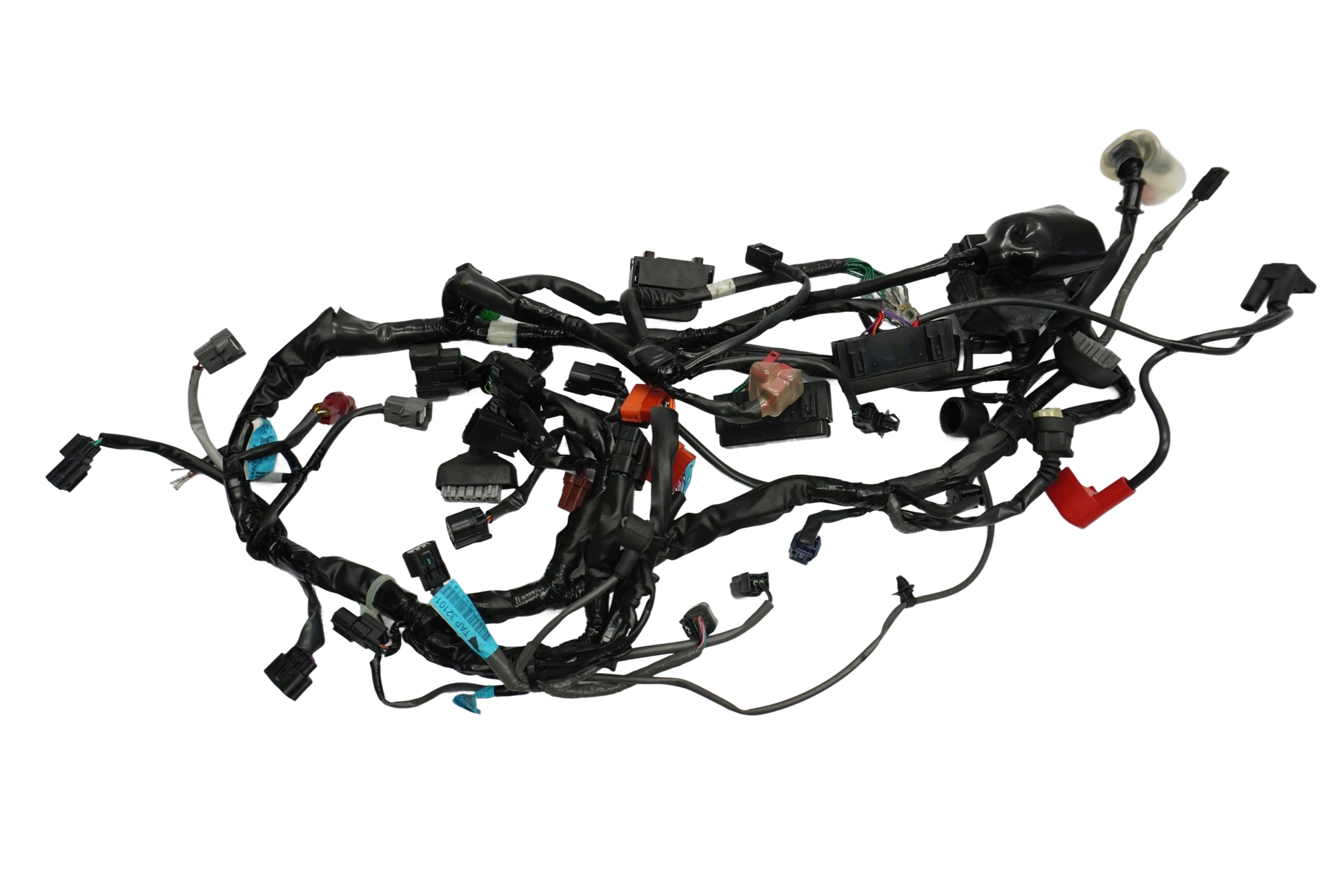TRIUMPH STREET TRIPLE 765 17-19 Kabelbaum Wiring Harness 1