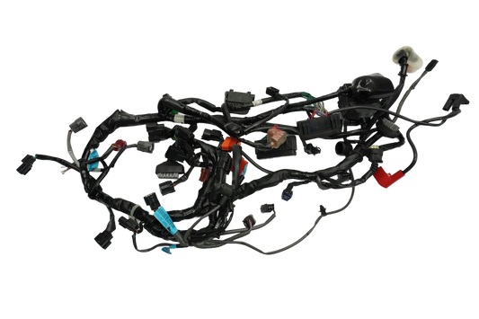 TRIUMPH STREET TRIPLE 765 17-19 Kabelbaum Wiring Harness 1