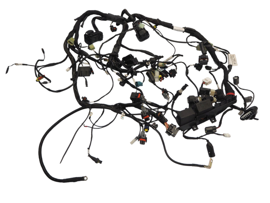 DUCATI MULTISTRADA 950 17-18 Kabelbaum Wiring Harness 1
