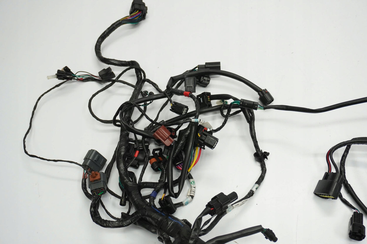 TRIUMPH TRIDENT 660 21- Kabelbaum Wiring Harness 12