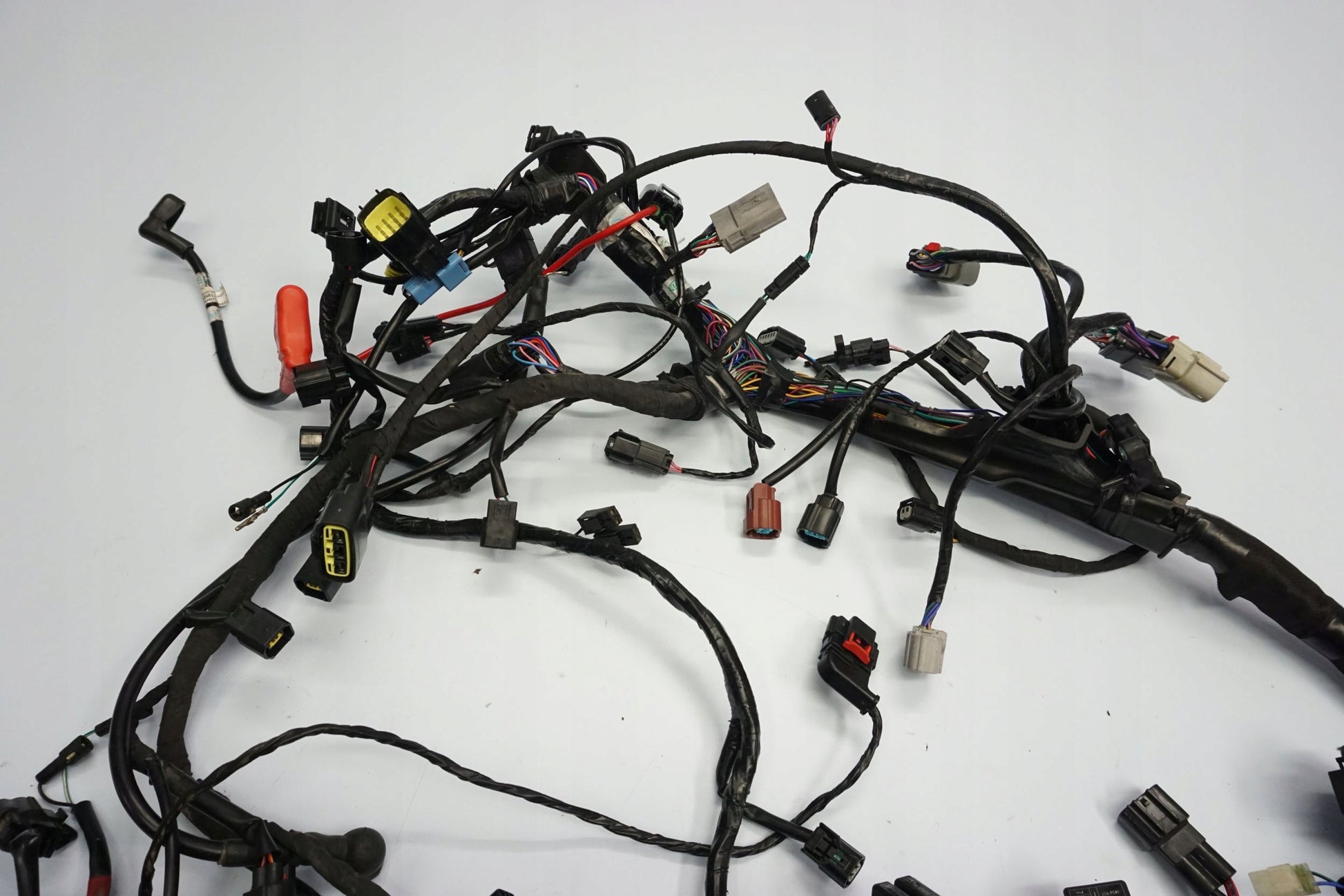 TRIUMPH TIGER 1200 RALLY EXPLORER 22- Kabelbaum Wiring Harness 13