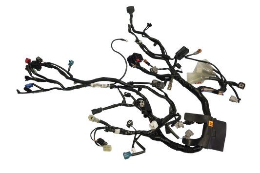 KAWASAKI NINJA 650 20-22 Kabelbaum Wiring Harness 1