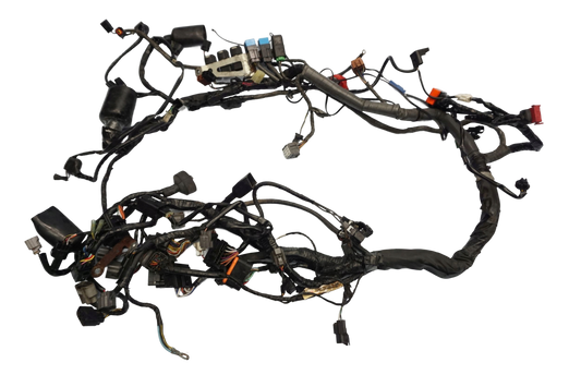KAWASAKI GTR 1400 07-09 Kabelbaum Wiring Harness 1