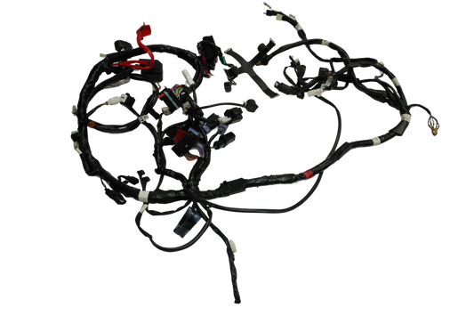 YAMAHA X-MAX 125 18- Kabelbaum Wiring Harness 1