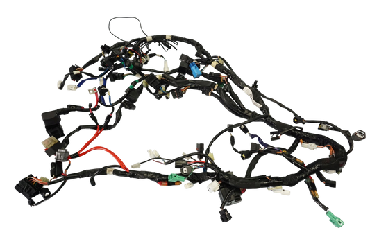 SUZUKI BURGMAN 650 13- Kabelbaum Wiring Harness 1