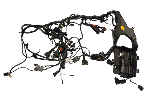 TRIUMPH TIGER SPORT 1050 16- Kabelbaum Wiring Harness 1