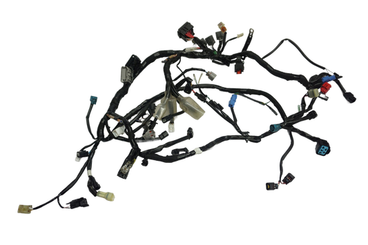 KAWASAKI Z 650 20-22 Kabelbaum Wiring Harness 1