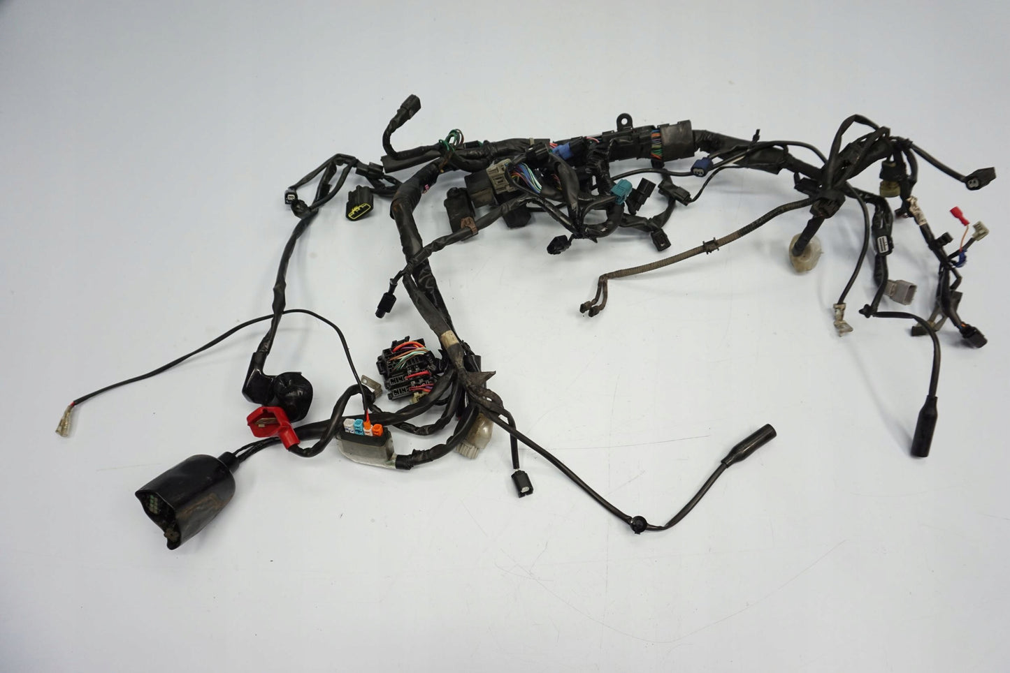 HONDA CBR 650 R 19-23 Kabelbaum Wiring Harness 2
