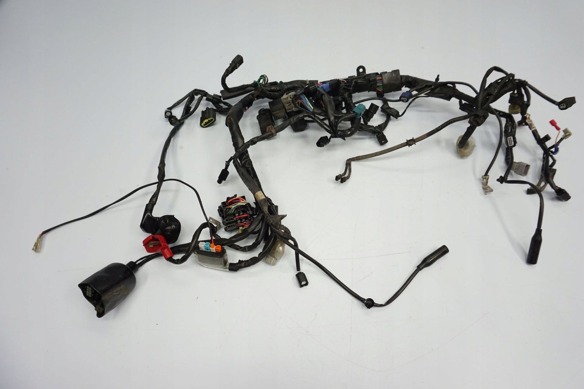 HONDA CBR 650 R 19-23 Kabelbaum Wiring Harness 2