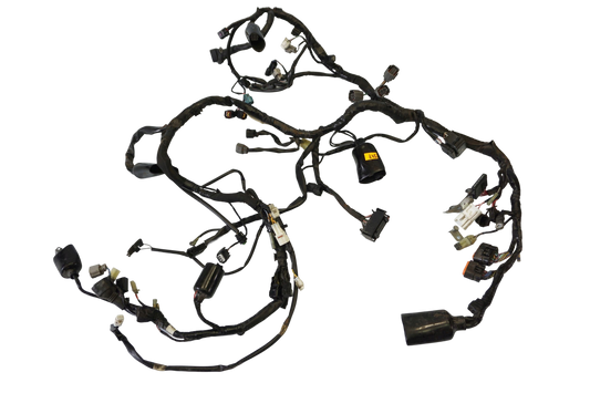 KAWASAKI VERSYS 650 15-21 Kabelbaum Wiring Harness 1