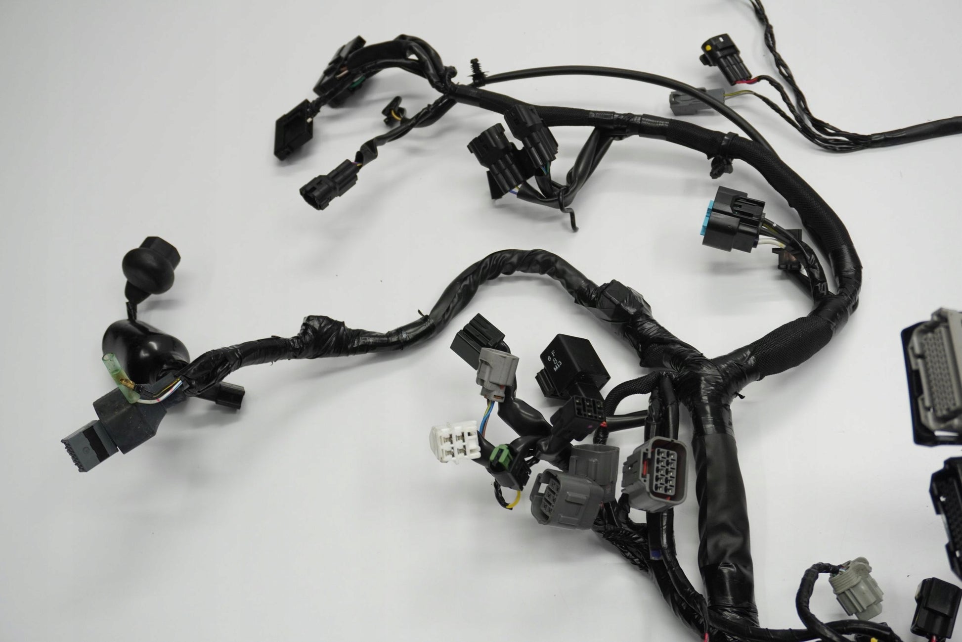 KAWASAKI VULCAN S 650 21- Kabelbaum Wiring Harness 10
