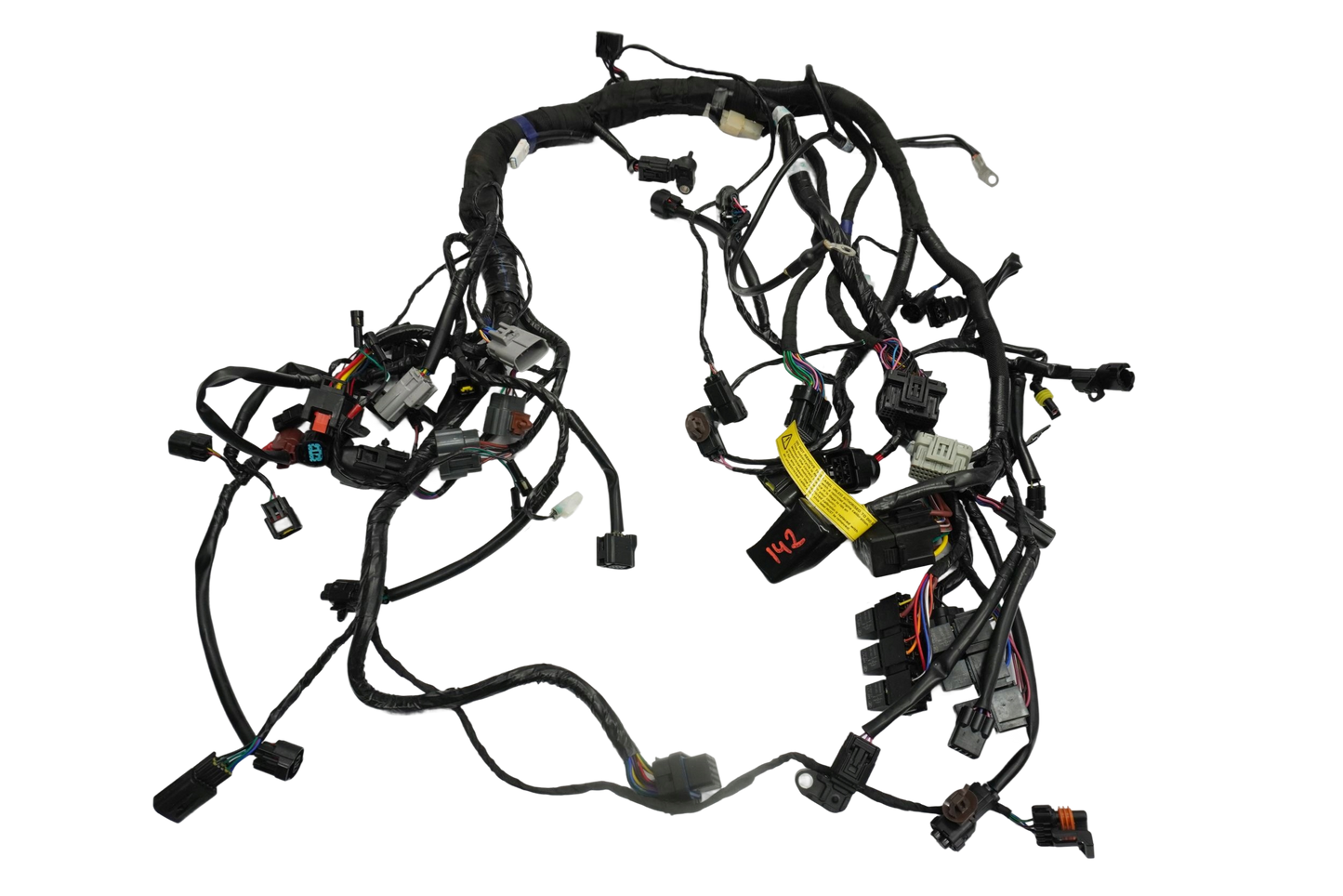 TRIUMPH TRIDENT 660 21- Kabelbaum Wiring Harness 1