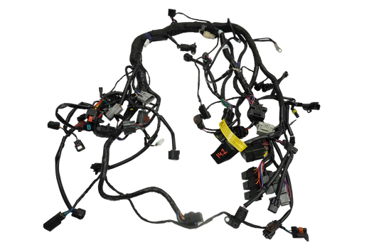 TRIUMPH TRIDENT 660 21- Kabelbaum Wiring Harness 1