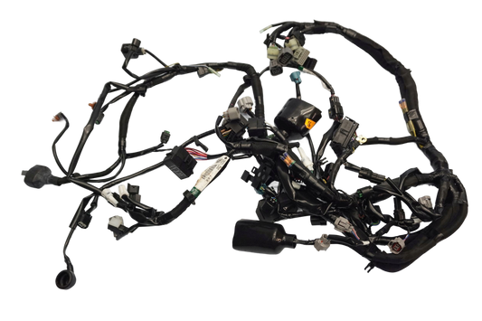 KAWASAKI Z1000 SX 17-19 Kabelbaum Wiring Harness 1