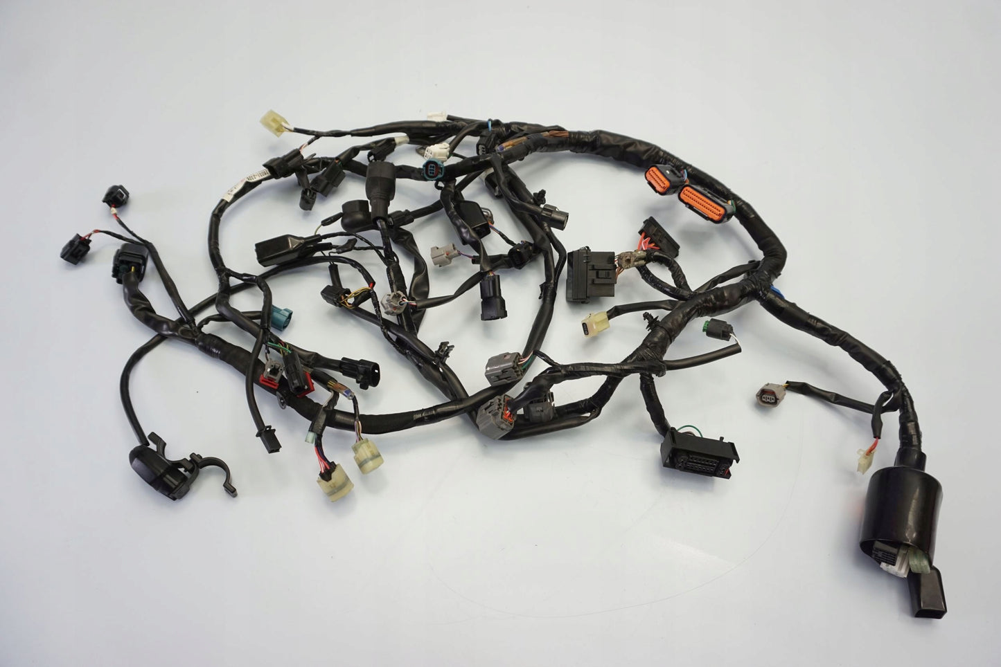 KAWASAKI Z 650 17-19 Kabelbaum Wiring Harness 12