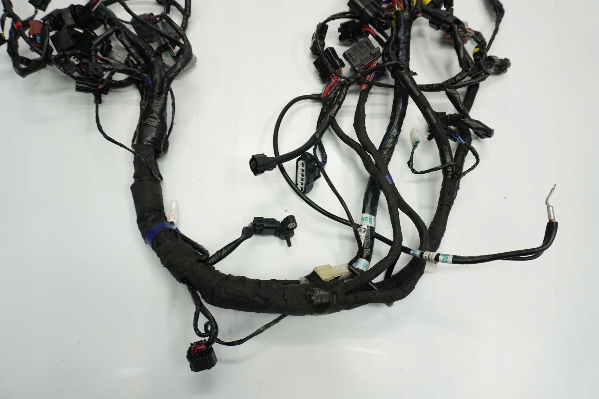 TRIUMPH TRIDENT 660 21- Kabelbaum Wiring Harness 9