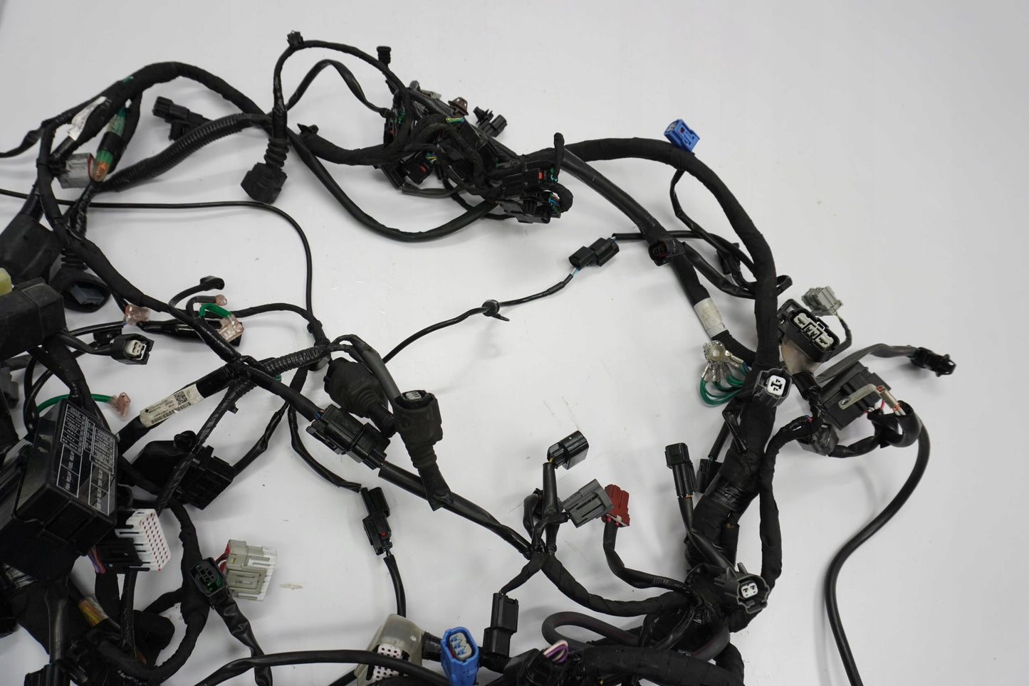 HONDA CRF 1100 L AFRICA TWIN 19- Kabelbaum Wiring Harness 15