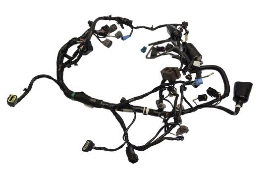 KAWASAKI Z-800 13-17 Kabelbaum Wiring Harness 1