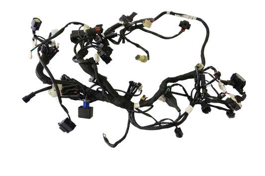 HUSQVARNA 701 VITPILEN Kabelbaum Wiring Harness 1