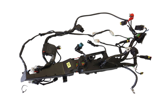MOTO GUZZI V9 ROAMER 16- Kabelbaum Wiring Harness 1