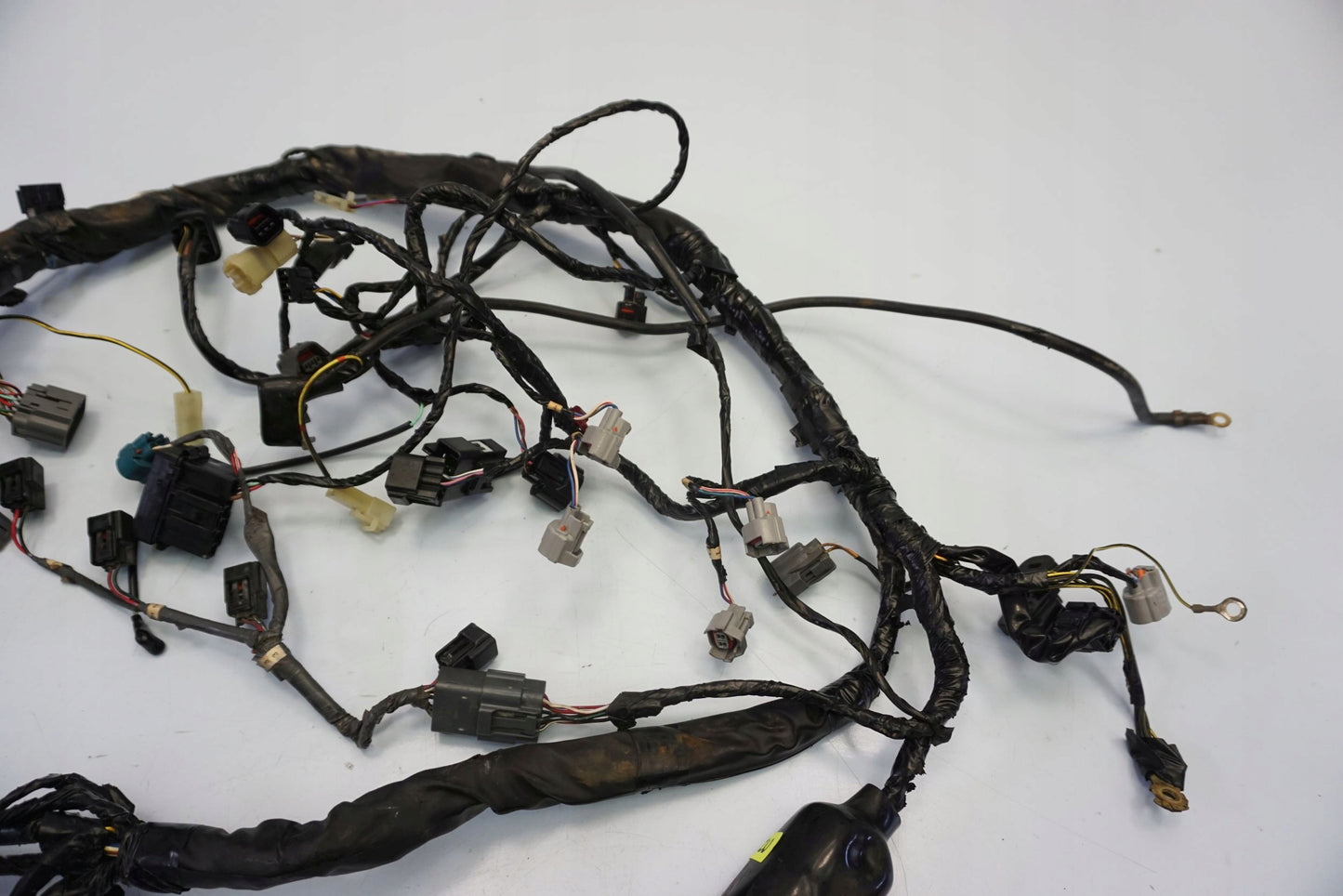 KAWASAKI Z 750 07-13 Kabelbaum Wiring Harness 7