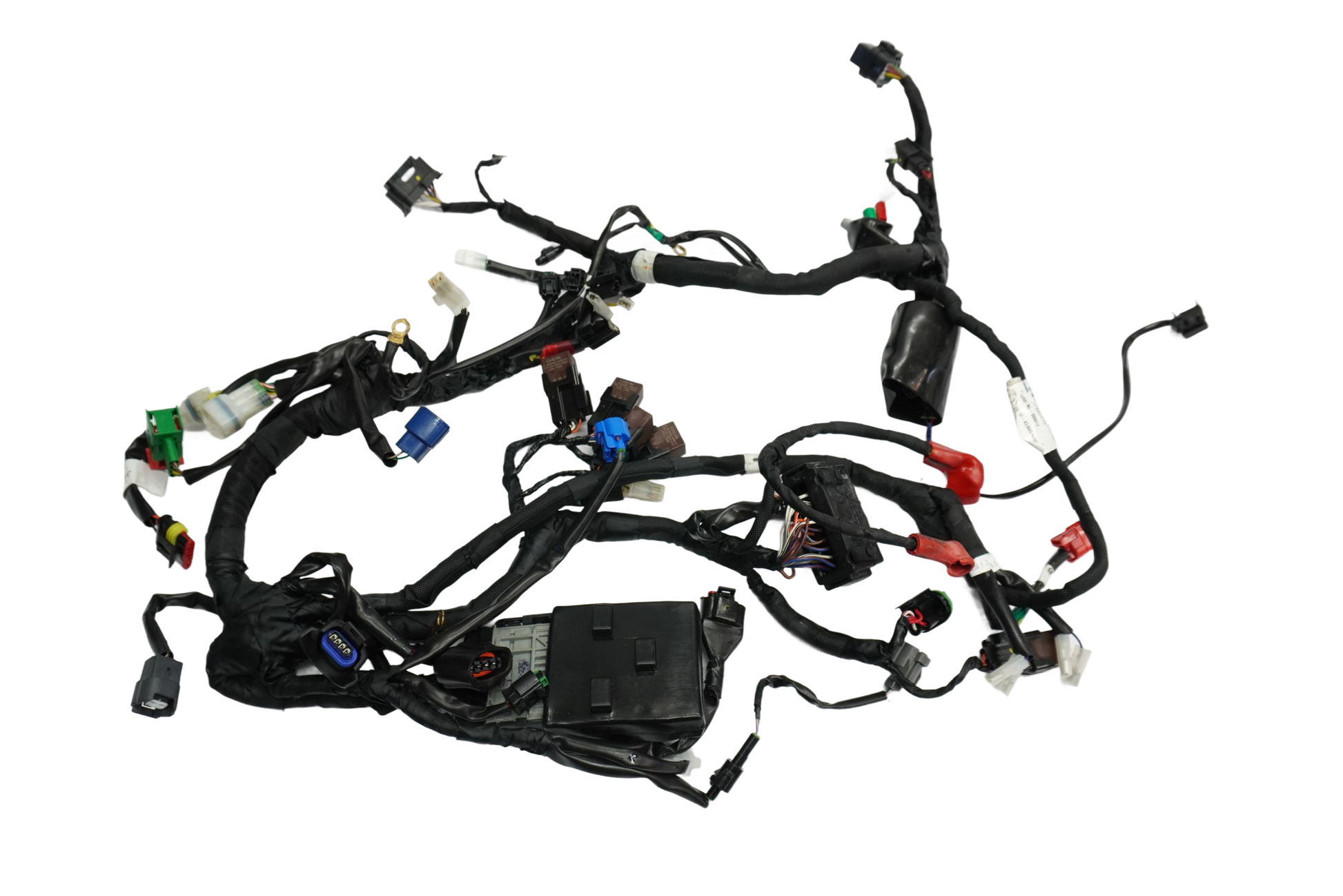 KTM RC 125 24- Kabelbaum Wiring Harness 1