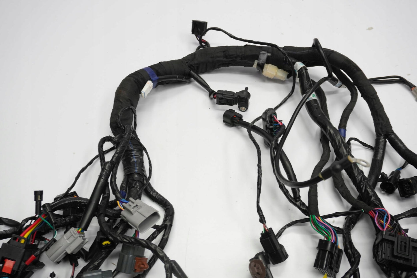 TRIUMPH TRIDENT 660 21- Kabelbaum Wiring Harness 14