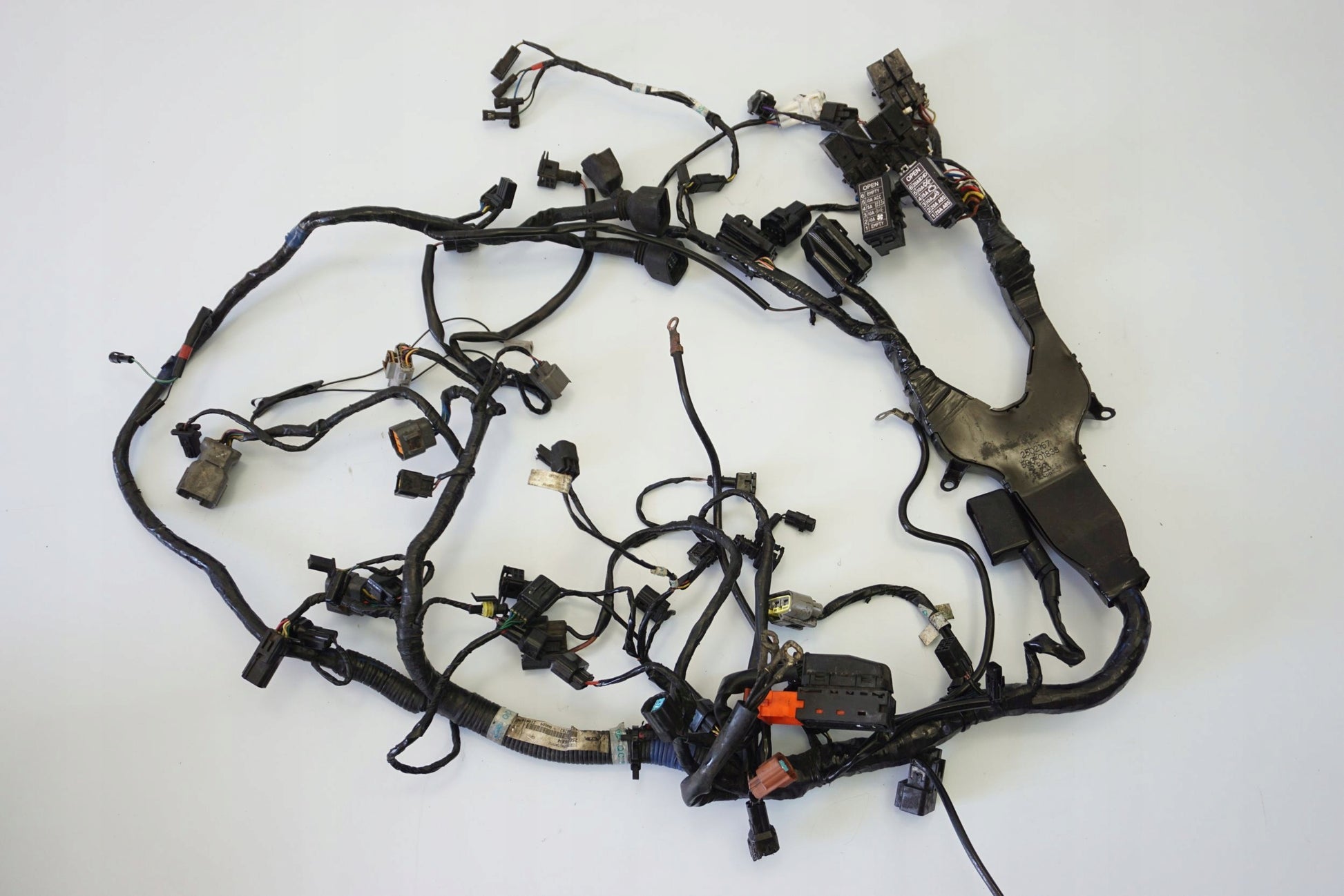 TRIUMPH TIGER SPORT 1050 16- Kabelbaum Wiring Harness 10